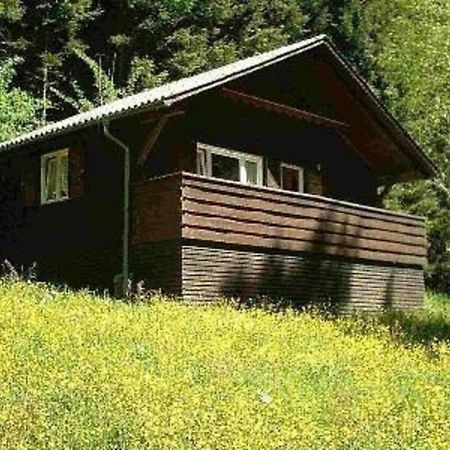 הוילה Ferienhaus Arthurhuette In Hohenweiler מראה חיצוני תמונה