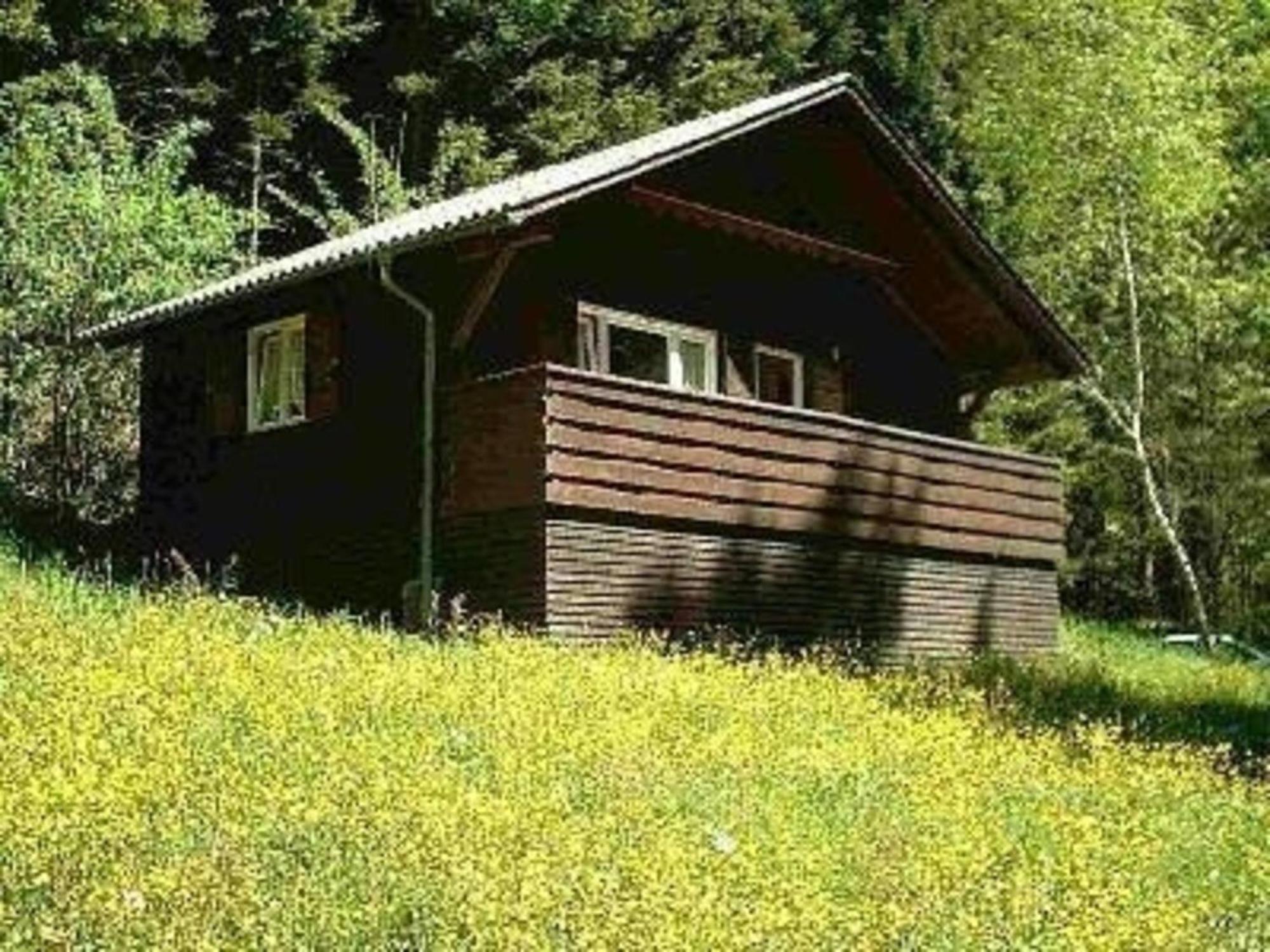 הוילה Ferienhaus Arthurhuette In Hohenweiler מראה חיצוני תמונה