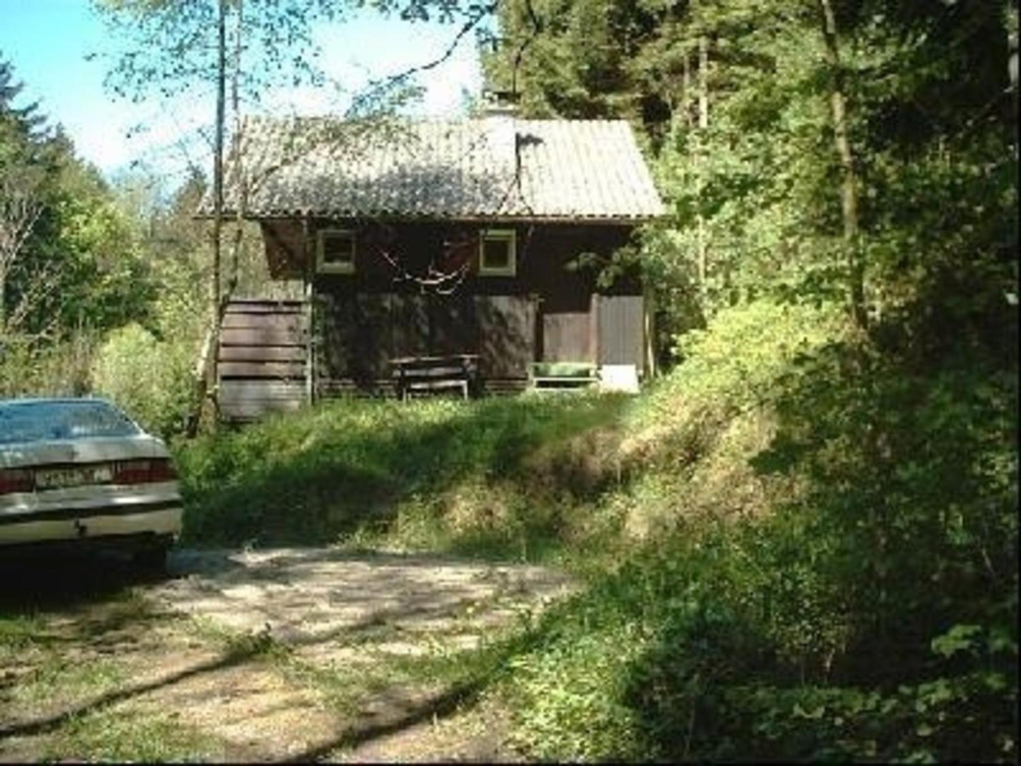 הוילה Ferienhaus Arthurhuette In Hohenweiler מראה חיצוני תמונה